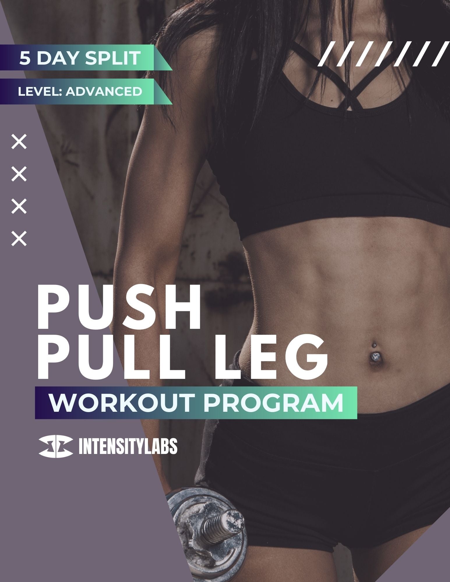 12 Weeks Push Pull Leg Fitness Training Program Advanced