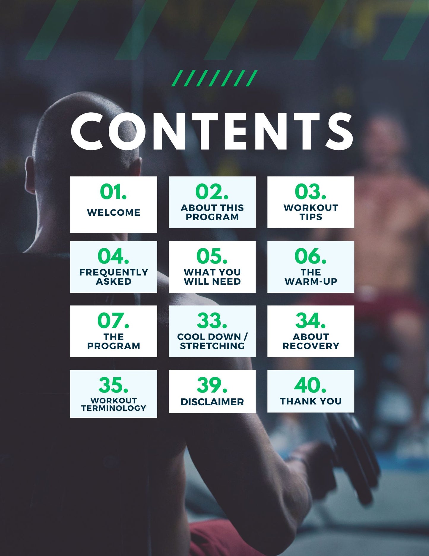 12 Weeks - Push Pull Leg Fitness Training Program - Advanced