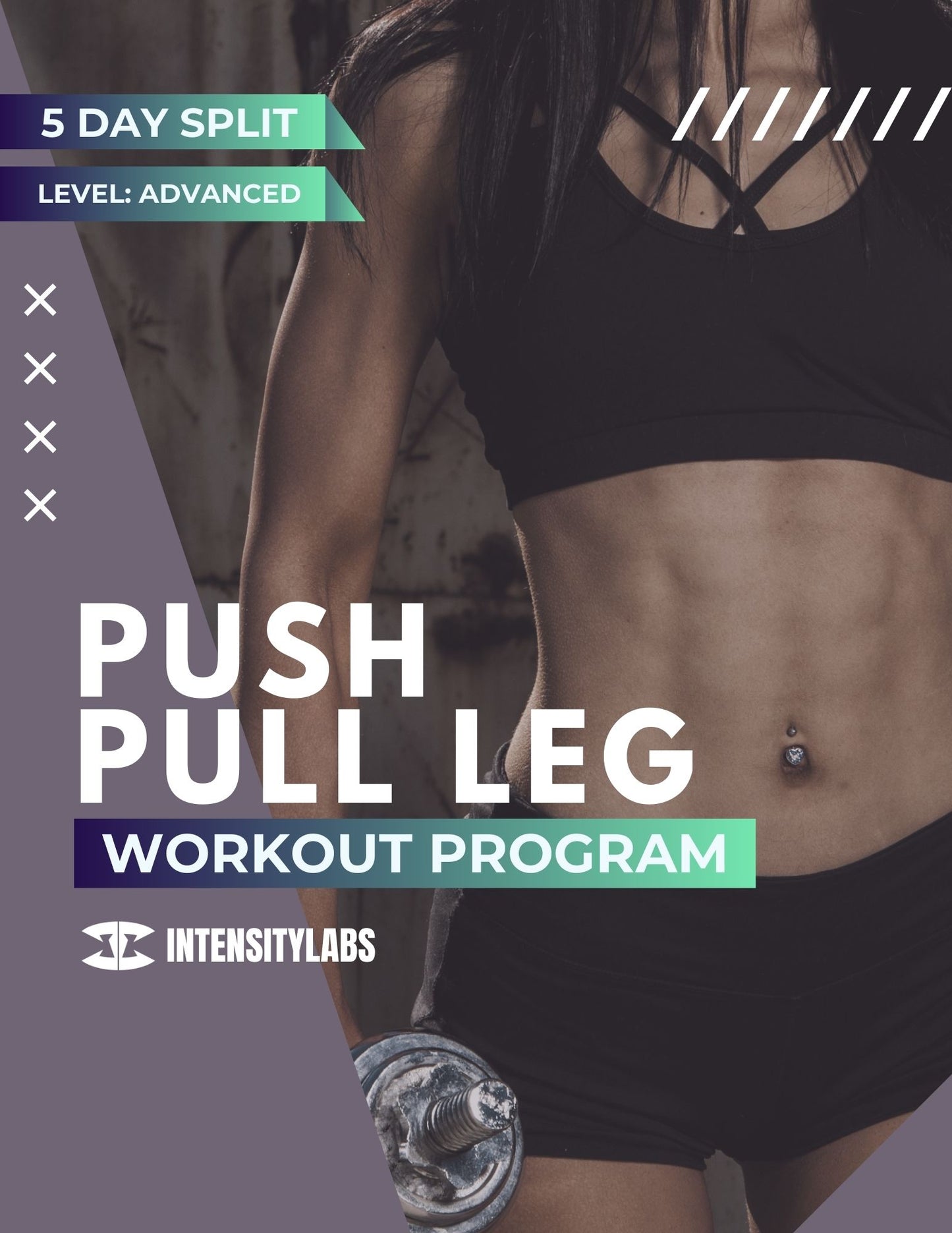 12 Weeks - Push Pull Leg Fitness Training Program - Advanced