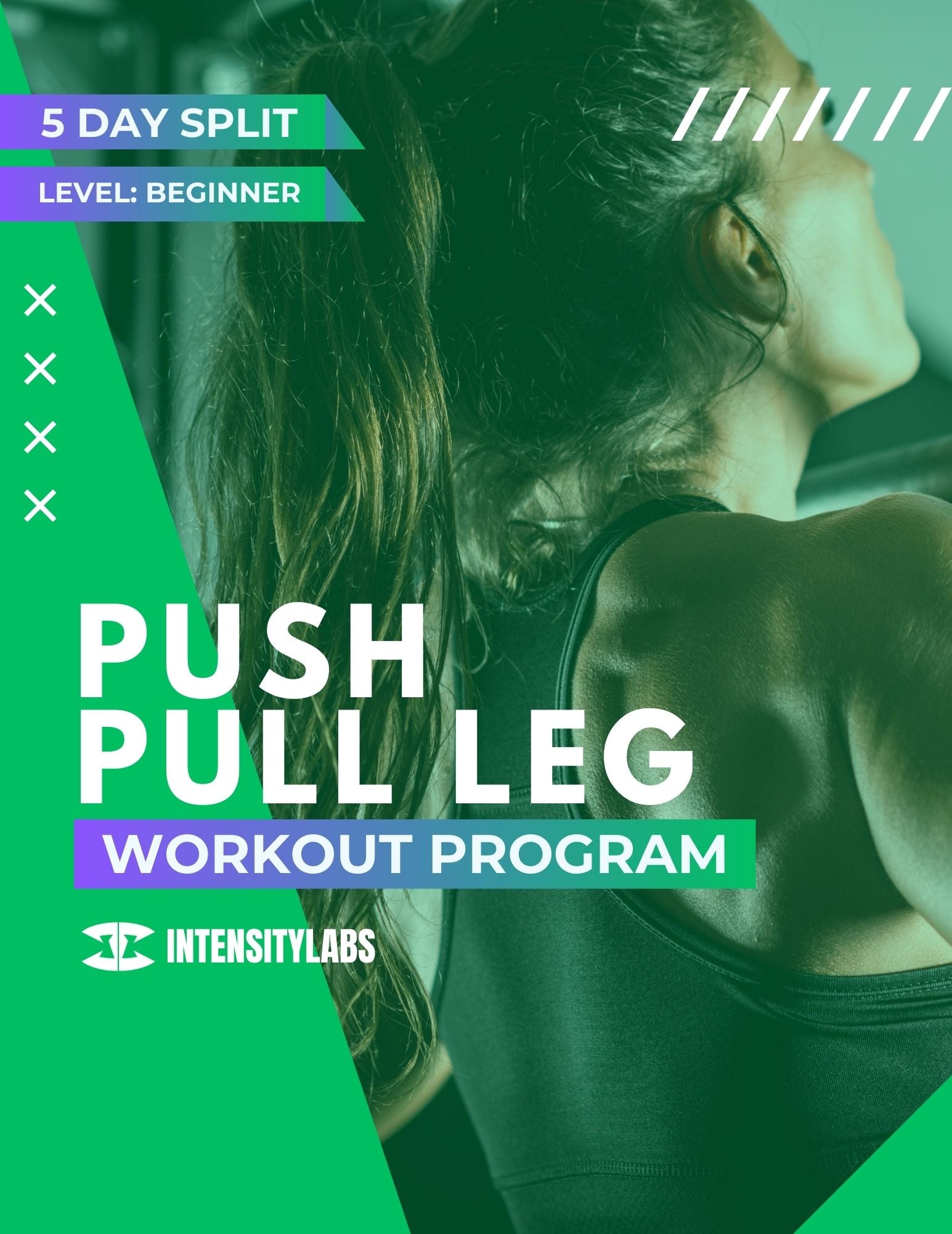 12 Weeks - Push Pull Leg Fitness Training Program - Beginner ...