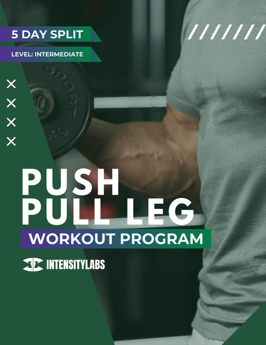 12 Weeks - Push Pull Leg Fitness Training Program - Intermediate