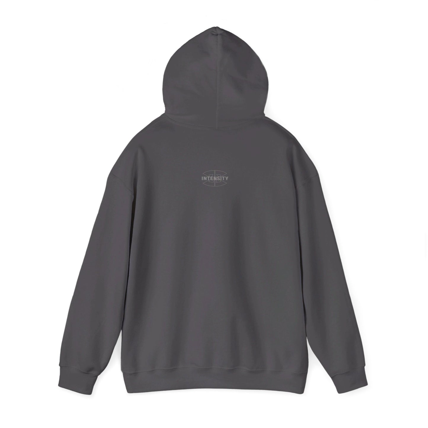 Men's "INTENSITY" Heavy Hoodie (Grey)