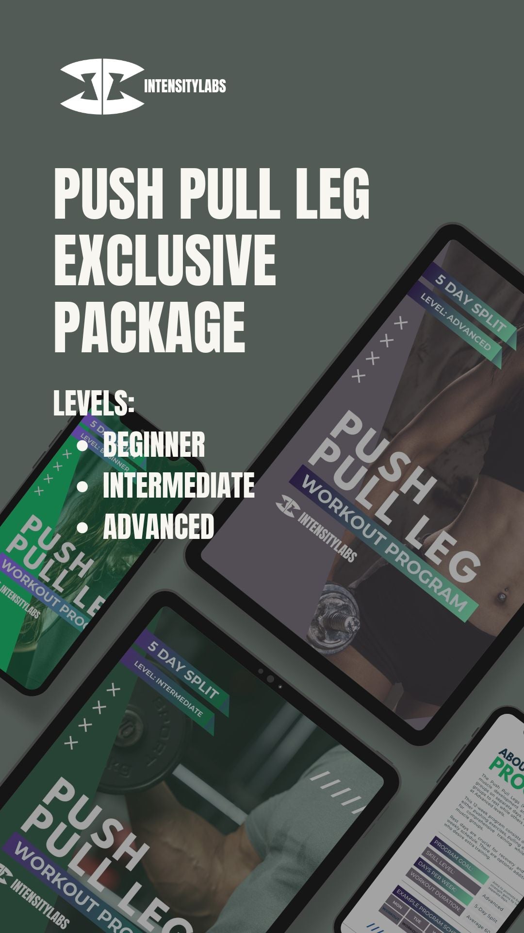 Push Pull Legs (PPL) Fitness Program - Exclusive Package