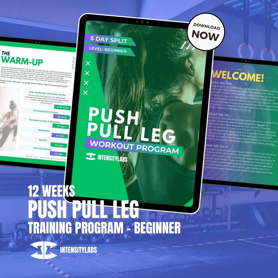 12 Weeks - Push Pull Leg Fitness Training Program - Beginner