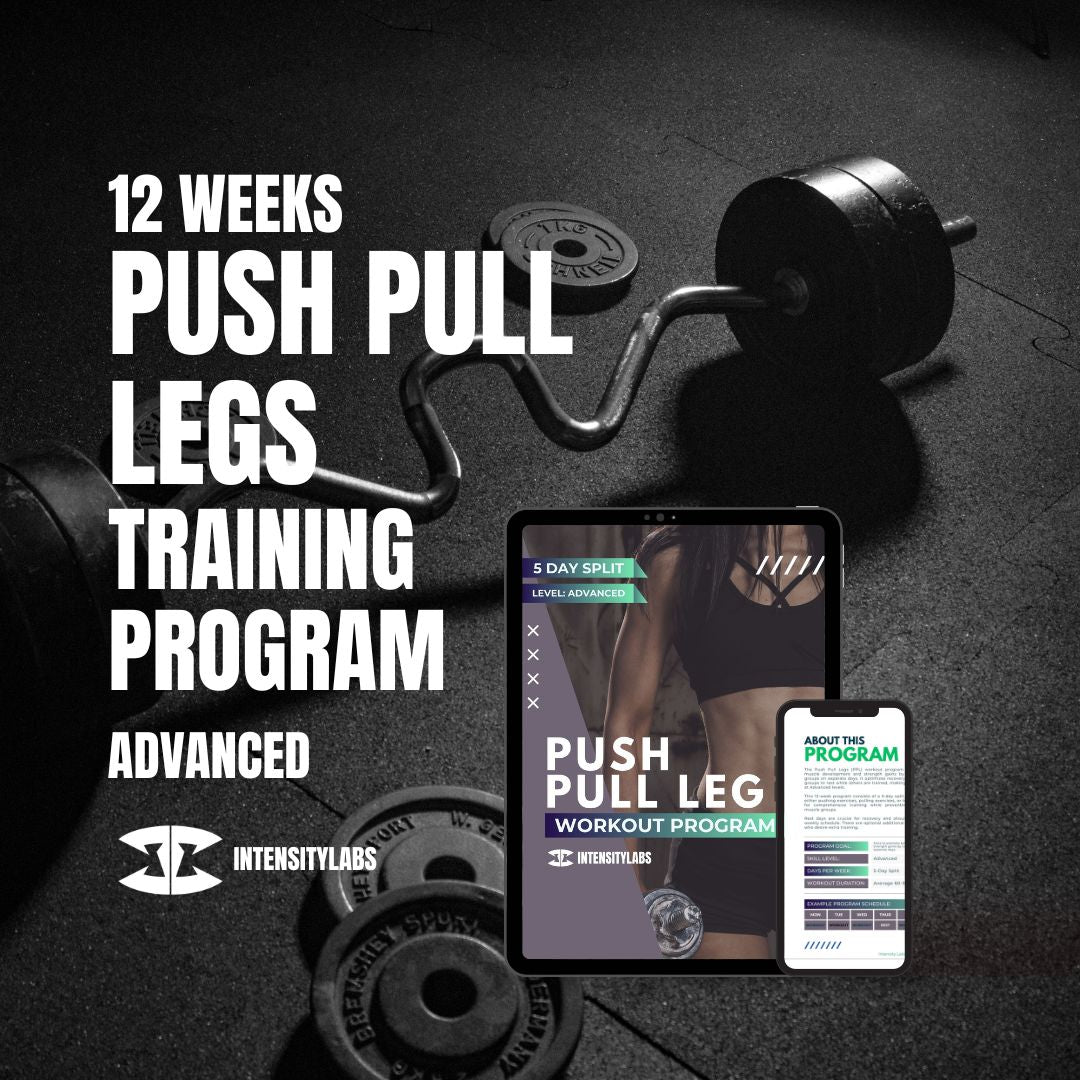 12 Weeks - Push Pull Leg Fitness Training Program - Advanced