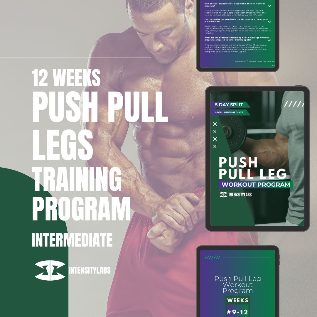 12 Weeks - Push Pull Leg Fitness Training Program - Intermediate