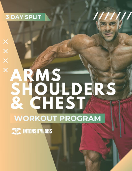 12 Weeks - Arms Shoulders & Chest Fitness Training Program - All Levels