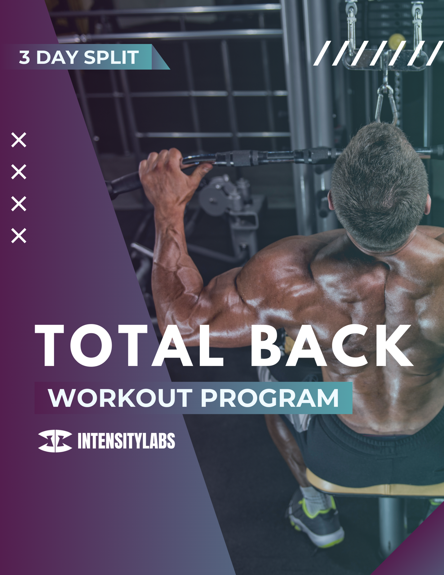 12 Weeks - Total Back Training Program - All Levels